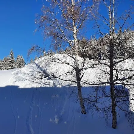 La Parenthese Chamroussienne - Proche Pistes De Apartmán Chamrousse